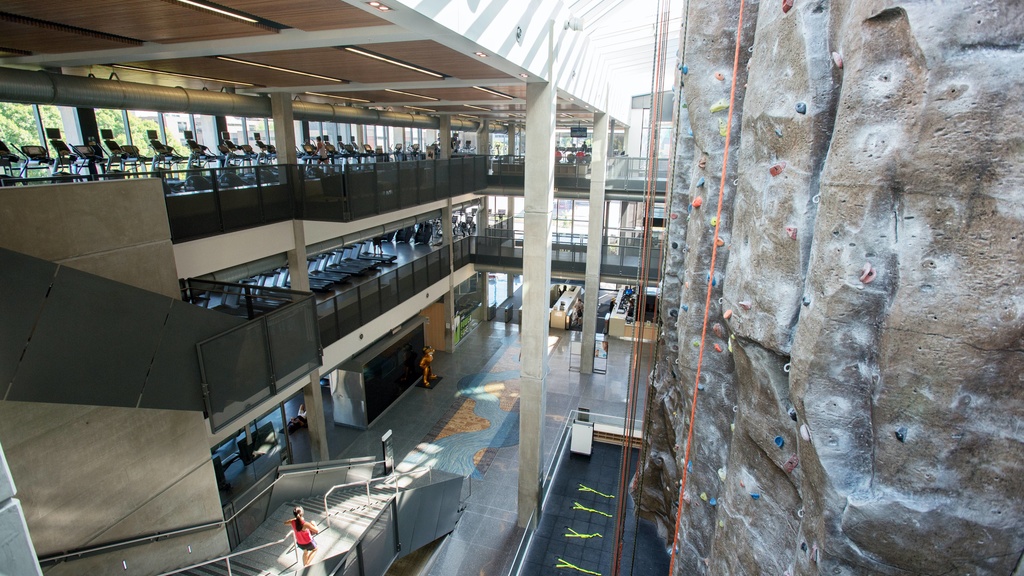 Rock climbing wall and gym